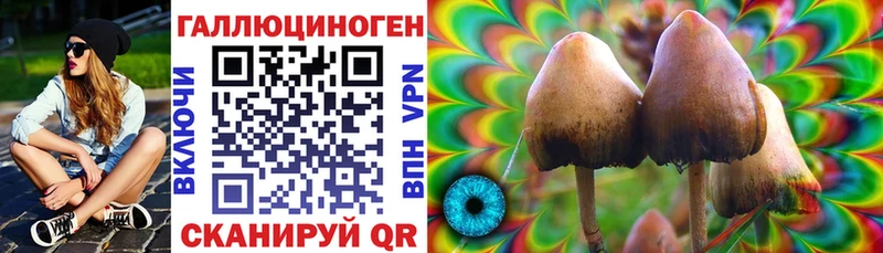 купить сайты Кудымкар блэк спрут зеркало Галлюциногенные грибы Psilocybe