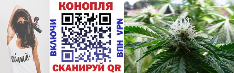Каннабис семена  MEGA вход  Кудымкар 